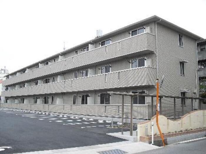 桜サライ