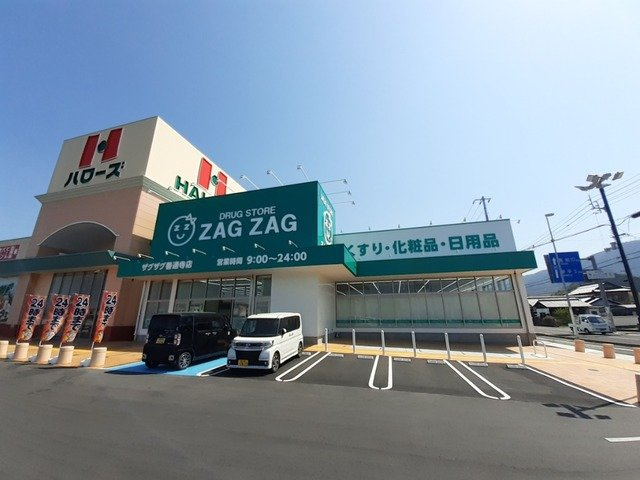 ヴェルテソレーユ　Ｂの周辺|ザグザグ善通寺店まで2600m