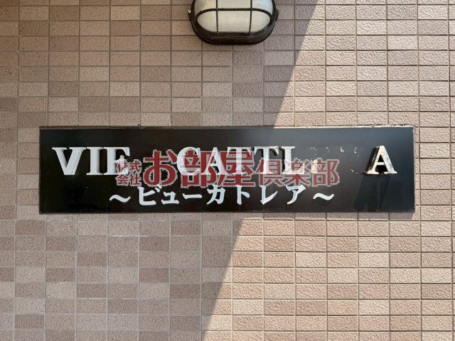 ビューカトレアのその他