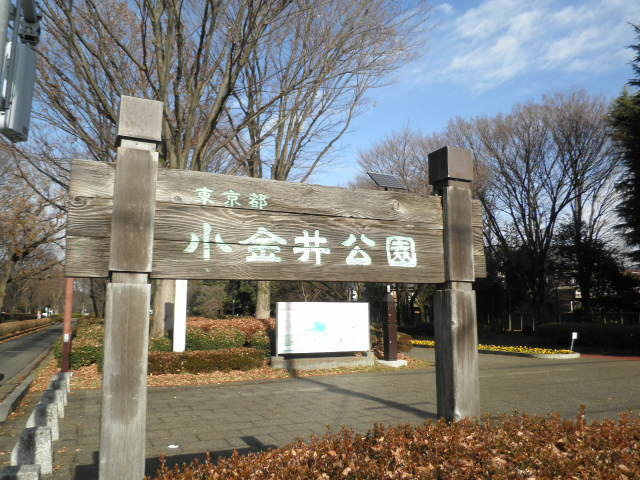 マルベリーコートのその他|都立小金井公園