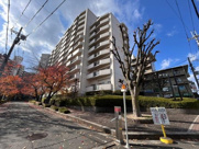 マイシティ泉北Ａ棟　中古マンションの画像