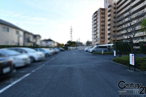 ダイアパレス大和八木の駐車場|■現地撮影写真■こちらは駐車スペースです！