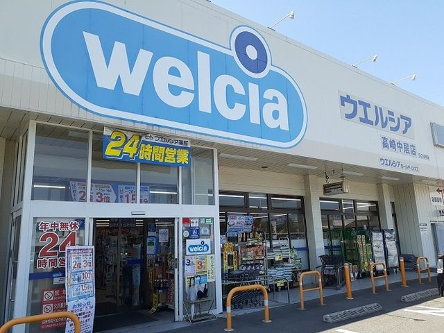 ストームキャットの周辺|ウエルシア高崎中居店まで450m