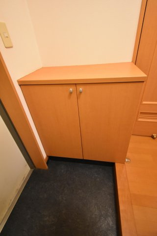 ドミールパレス櫛原の玄関|明るい玄関です