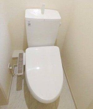 リーブルファイン鴻巣大間のトイレ