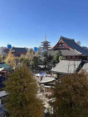 【展望】 | ベルファース浅草