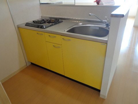 【キッチン】 | グランシャリオ | 2口ガスコンロのシステムキッチンです☆2口コンロは複数の調理を同時にできるので時短にもGOOD☆
