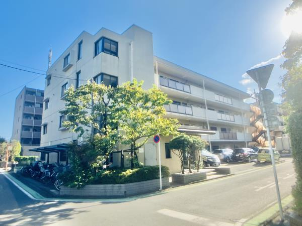ルミナスけやき台の外観|外観は落ち着いています