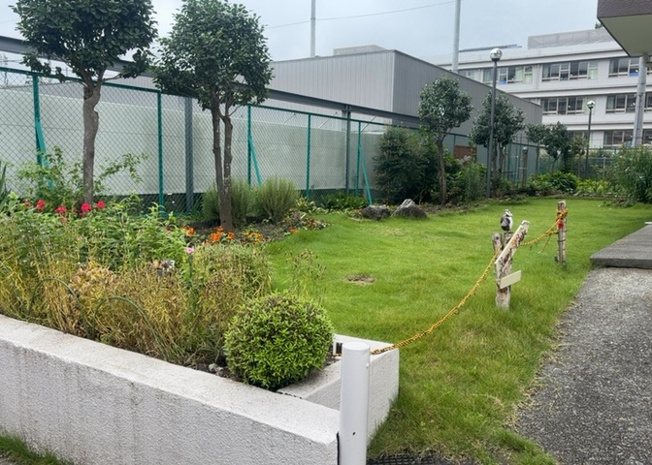 【中庭】 | 八王子サニーハイツ | 中庭（パティオ）とは、一つの建築物の内部に設けられた、壁などで囲われている庭のことを指します。コの字型、ロの字型が主流ですが、L字型の中庭もあります。最近では、インテリア性の高さからも人気があります。