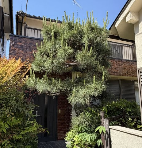 天白区池場五丁目　土地の外観