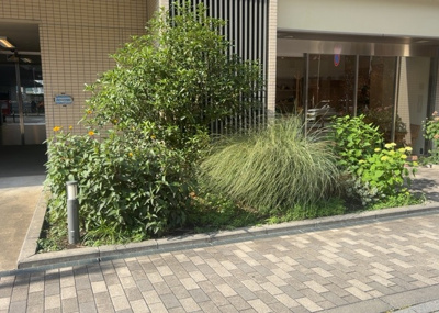 【庭】 | ミッドプレイス八王子 | 物件によっては、入居者が個人的に使用できる専用庭がついているものもあります。また、住宅の中にある土間の部分を庭と呼ぶこともあります。庭の用途は住む人によって変わり、それによってデザインもさまざまです。