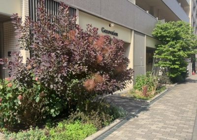 【中庭】 | ミッドプレイス八王子 | 中庭（パティオ）とは、一つの建築物の内部に設けられた、壁などで囲われている庭のことを指します。コの字型、ロの字型が主流ですが、L字型の中庭もあります。最近では、インテリア性の高さからも人気があります。