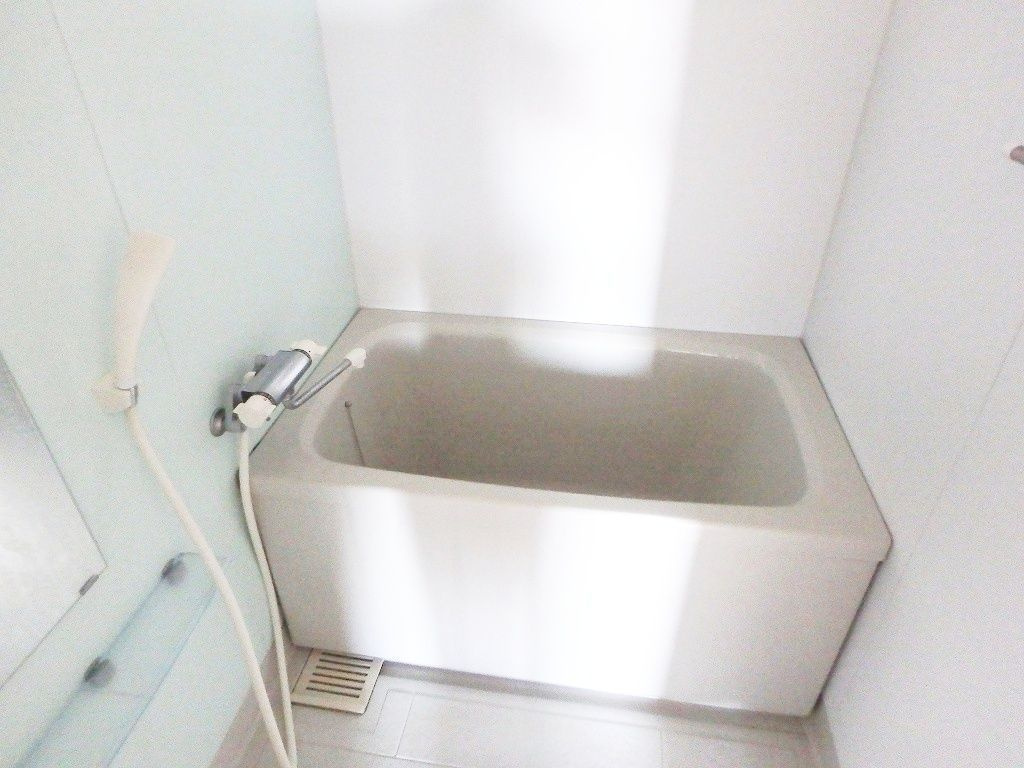 すかる通東の浴室