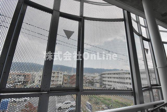 セネシオの展望
