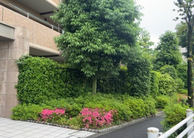【庭】 | エンゼルラクシィ南大沢 | 物件によっては、入居者が個人的に使用できる専用庭がついているものもあります。また、住宅の中にある土間の部分を庭と呼ぶこともあります。庭の用途は住む人によって変わり、それによってデザインもさまざまです。