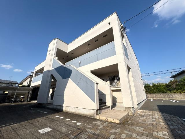 アムール菊陽