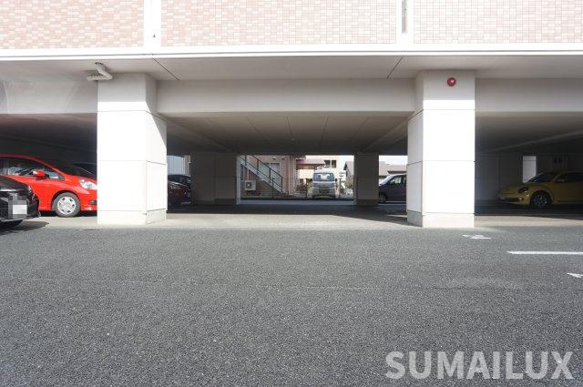 菊池郡菊陽町大字津久礼の賃貸マンションの駐車場