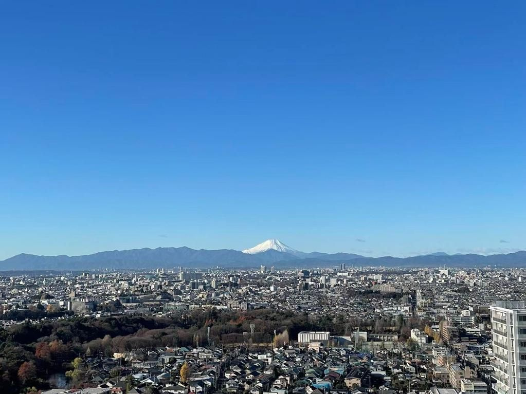石神井公園ピアレス　Ａ棟の展望|現地ご見学希望・資料請求などお気軽にお問い合わせ下さい！
03-5990-5201
