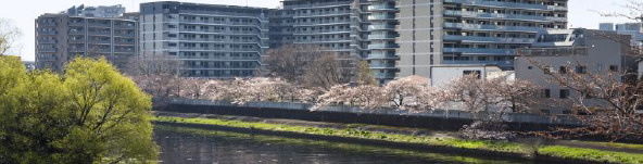 パークホームズ板橋蓮根2番街