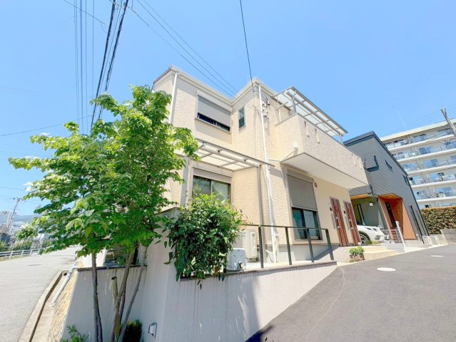 same skyのその他
