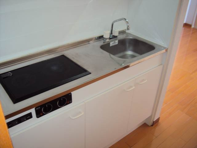 セントエルモ三条のキッチン