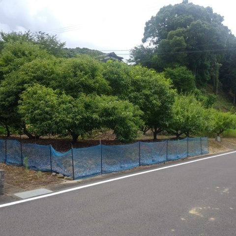 嬉野市　土地のその他