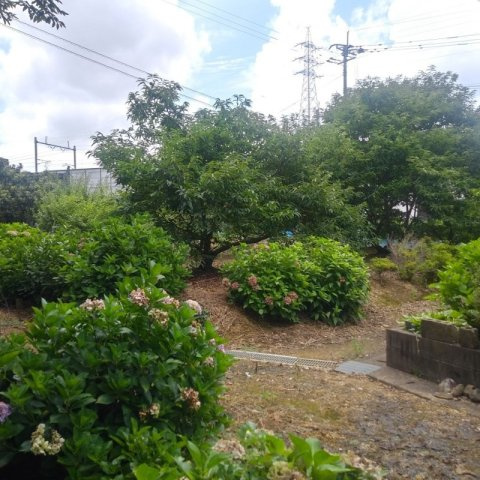 嬉野市　土地