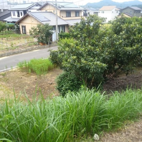 嬉野市　土地の外観