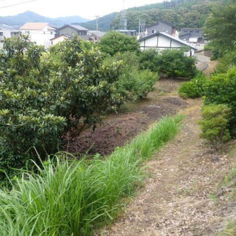 嬉野市　土地の外観