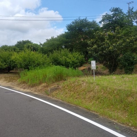 嬉野市　土地の外観