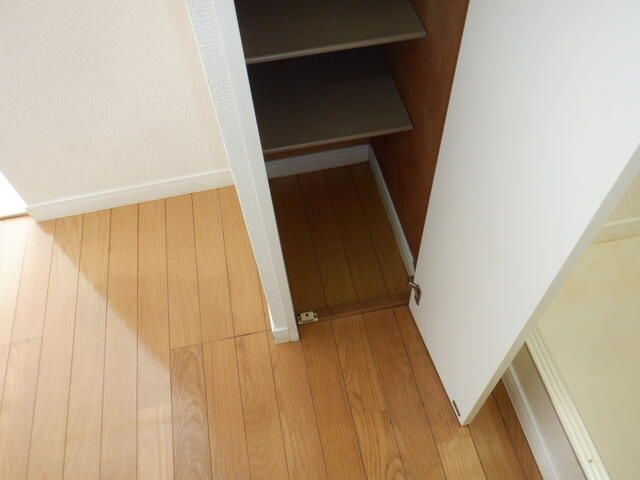 相模原市南区東林間１丁目の賃貸マンションの収納