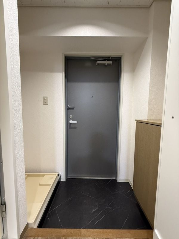 厚木市水引１丁目の賃貸マンションの玄関