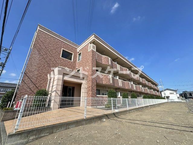 ニューグランド　オアシス