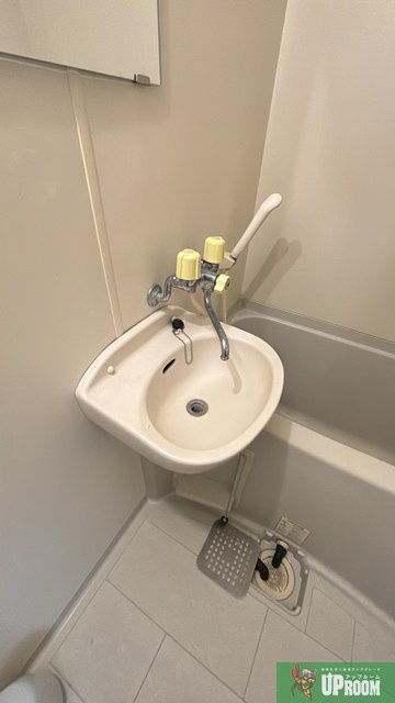 アン116のその他