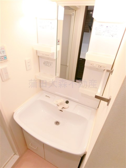 スカイコート蒲田EASTの洗面所