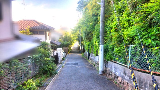 苦楽園二番町戸建の前面道路含む現地写真|前面道路含む現地写真です