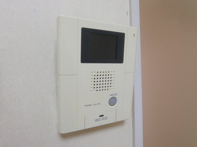 ラハイナ・ハナのセキュリティ