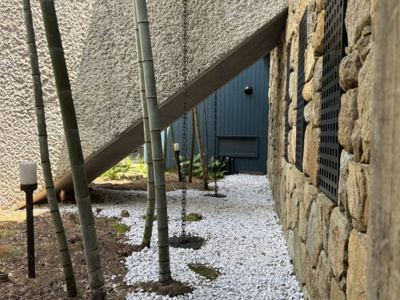 【庭】 | 西宮市甲陽園目神山町　中古戸建 | 中庭には竹が植えられ、日本的な趣がありますね