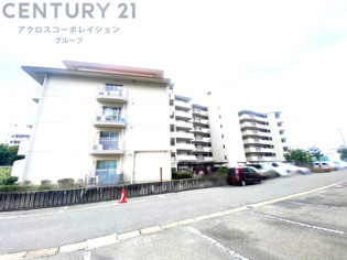 RC造6階建て