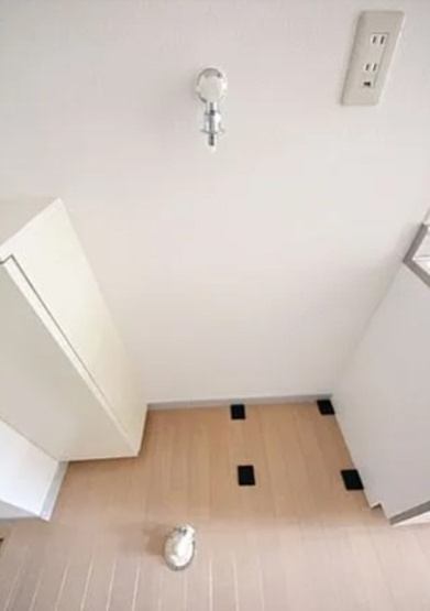 【その他】