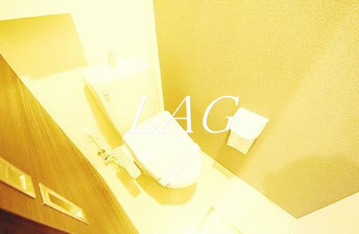 【トイレ】 | プレジール南与野 | トイレです。（同仕様です。）