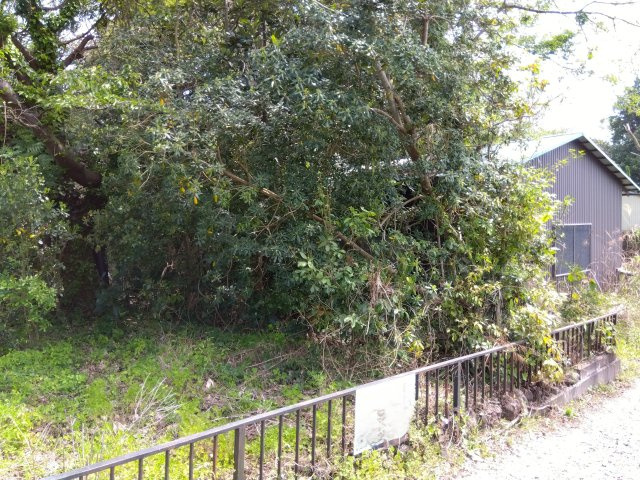 売土地　富士市大淵の外観|敷地面積は約50坪あります。資材置き場や駐車場としてお使いいただけます。