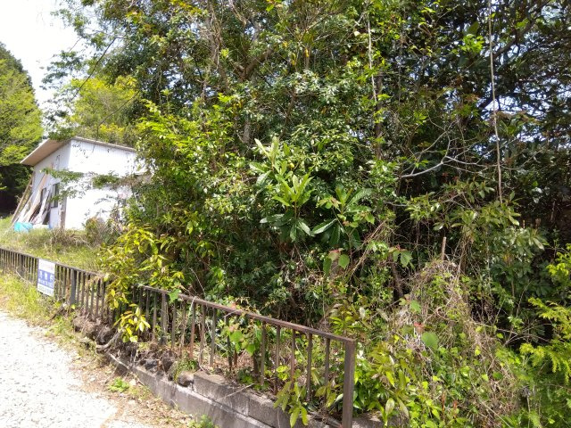 売土地　富士市大淵の外観|前面道路に接道しており、車での進入も可能です。間口は約7.5ｍあります。