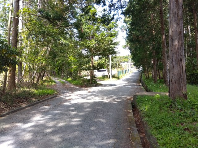 売土地　富士市大淵の前面道路含む現地写真|緑豊かな場所にあります。四季折々の景色を身近に感じられます。