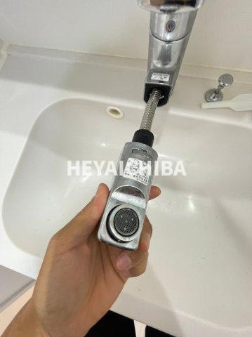 メイクス浅草イーストの洗面所|シャワー付き洗面台