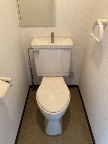 ティファニーヒルズのトイレ|清潔感のあるトイレです※別号室のお写真になります。