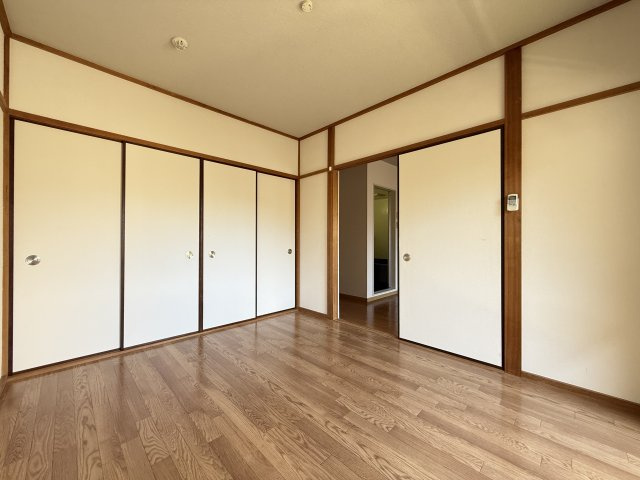 エバーグリーンのその他