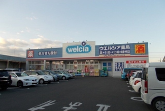 【周辺】 | ブライトリーフ | ウエルシア中町店まで550m