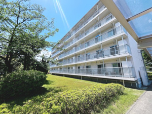 馬堀台団地 6号棟の画像