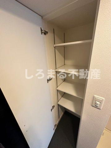 プレサンスOSAKA DOMECITYスクエアの収納